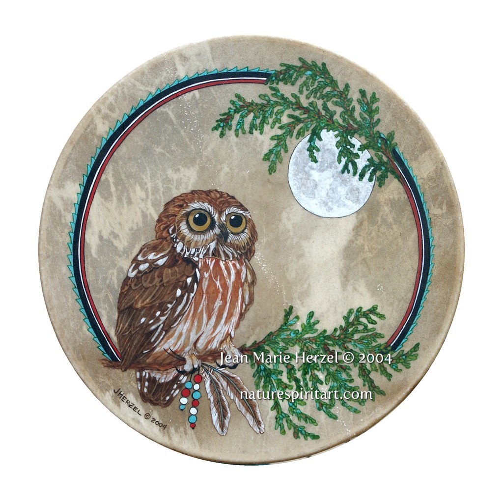 Cedar and Saw-Whet Owl