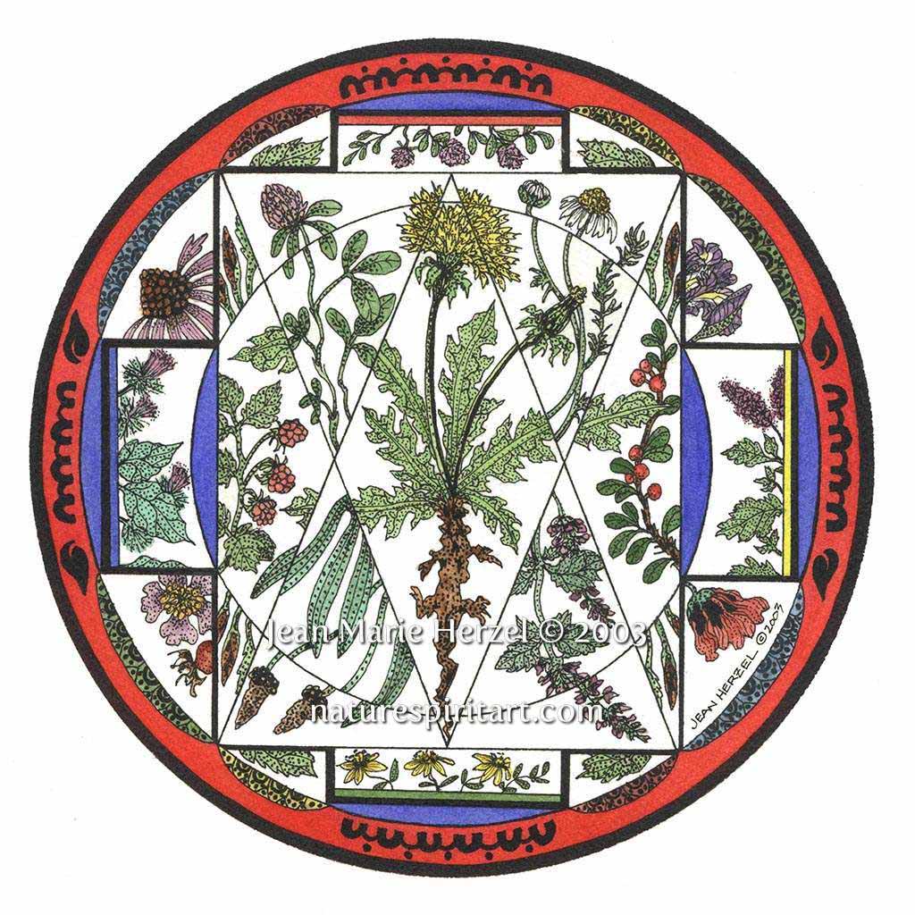 Plant Mandala